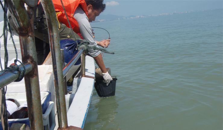 Environmental Monitoring and Auditing for the Proposed Penang Second Bridge Project