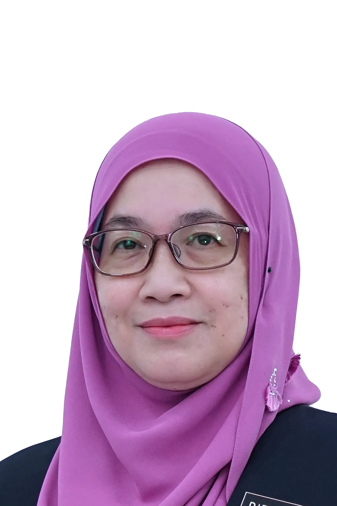 Ir. Bibi Zarina Che Omar