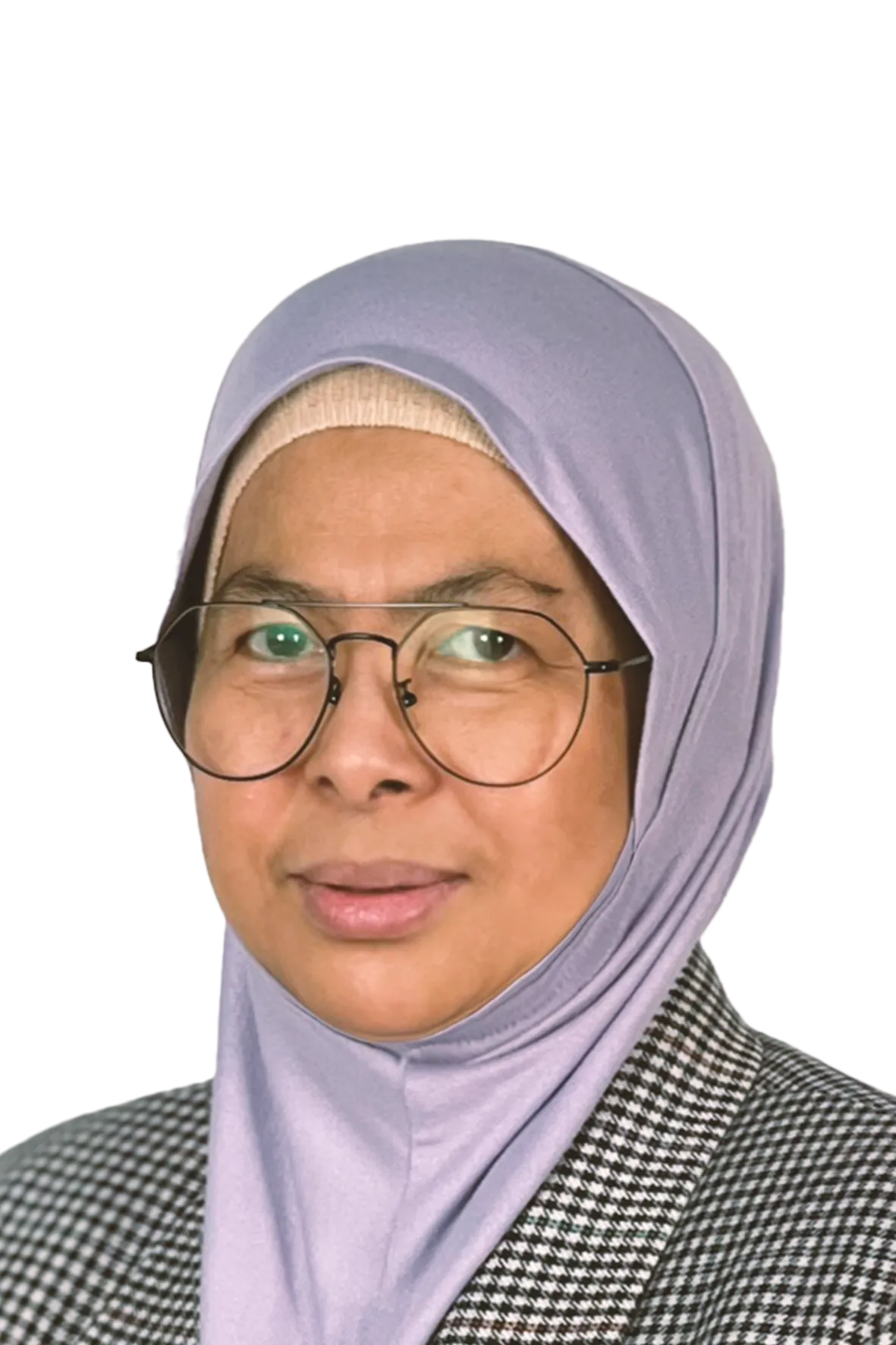 Ir. Ts. Aniza Md Idris